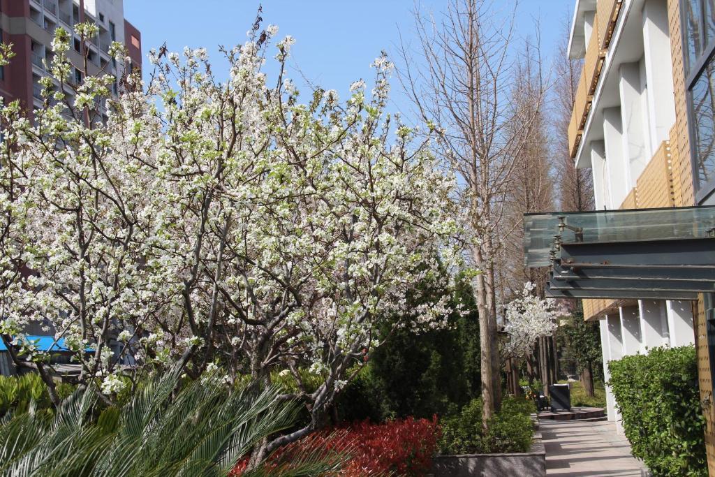 L'Otel Shanghái Exterior foto